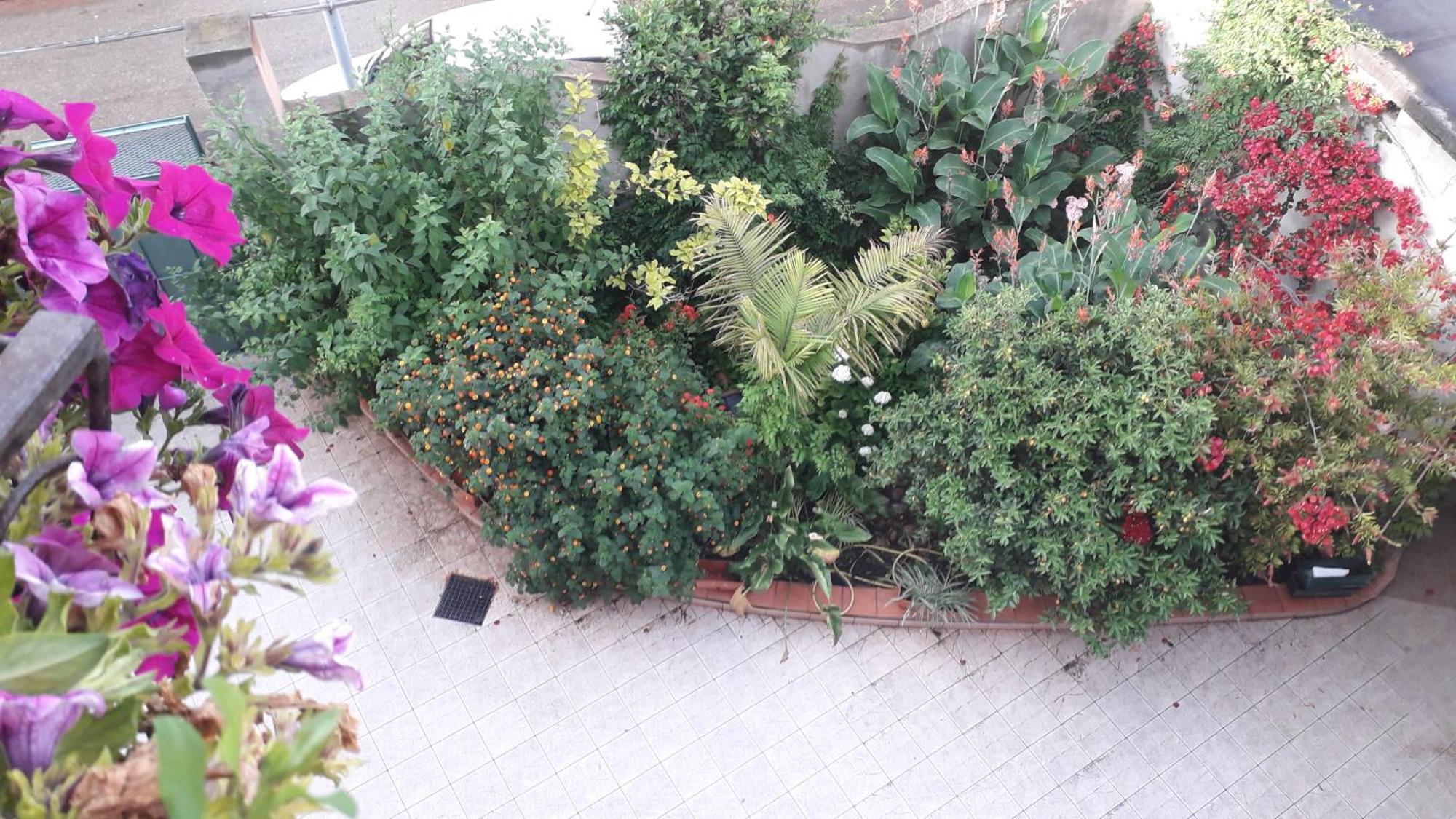 Bed And Breakfast Le Petunie Bari Sardo Exterior foto